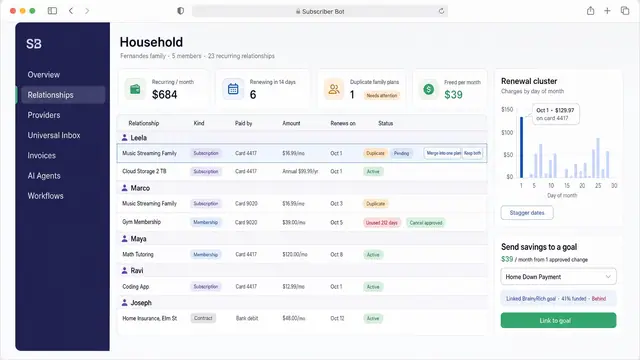 Concept illustration of a household subscription board grouped by family member, with duplicate plans, a renewal cluster chart and a savings goal